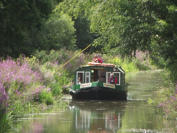 Boat Wiggonholt
